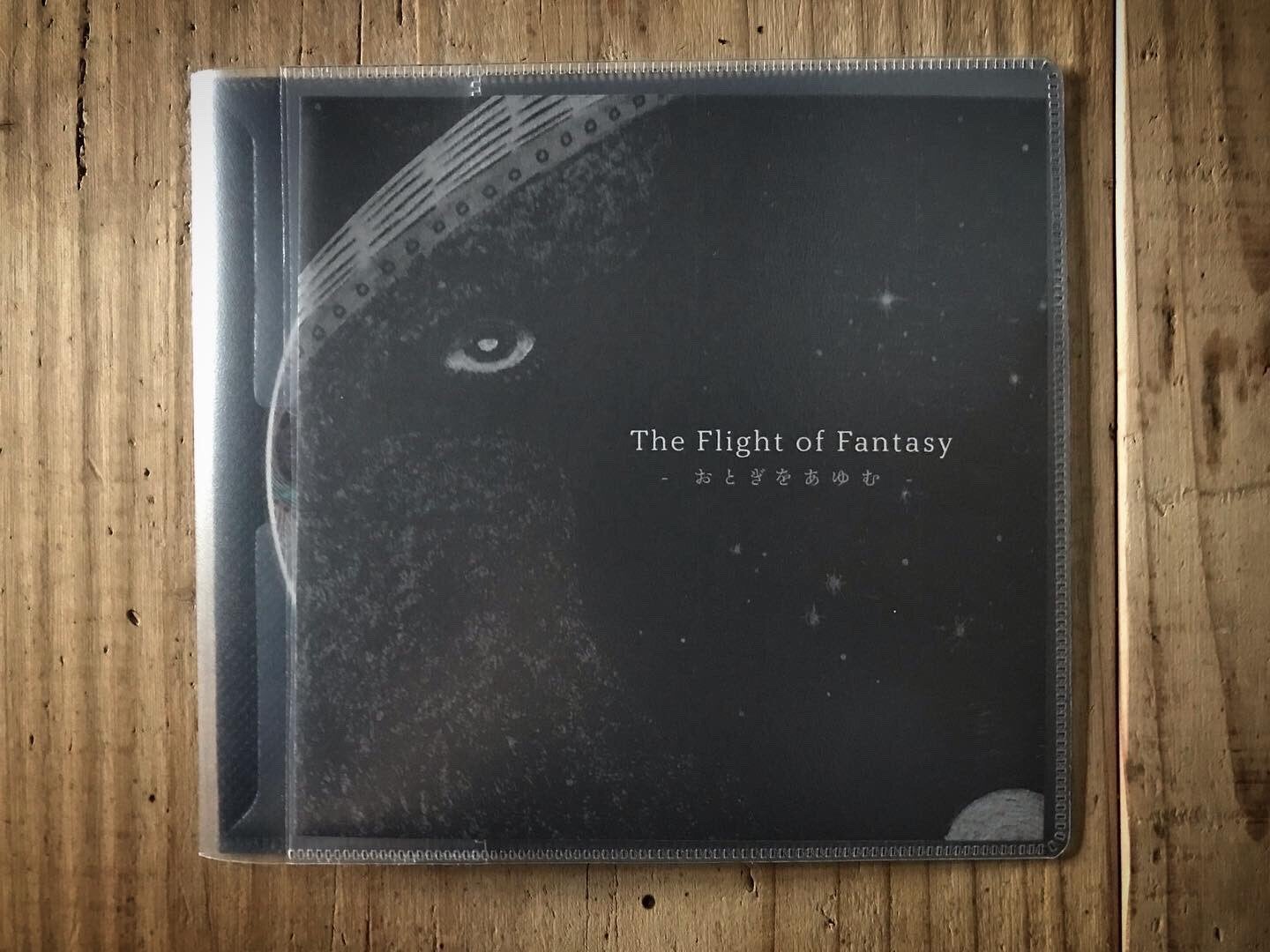 人気作家　長瀬萬純　影の肖像II 原画 人気作家 長瀬萬純 影の肖像II 原画 長瀬萬純 (Masumi NAGASE